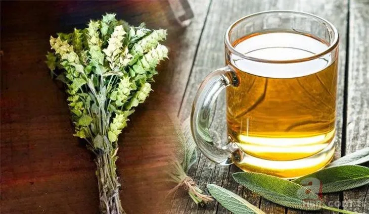Adaçayı... Ihlamur... Kuşburnu... Hepsi doğal şifa deposu! Hangi bitki çayı neye iyi geliyor? İşte yanıtı...
