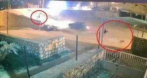 Aracına havlayan köpeği kurşun yağdırdı