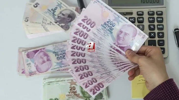 Başvurana 300-400-600 TL ödeme! ATM'den aylık anında çekebilirsiniz! E-devlet başvuru şartları açıklandı...