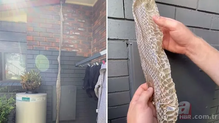 Evinin çatısında 4 metre yılan derisi buldu! Günlerdir gözüne uyku girmiyor