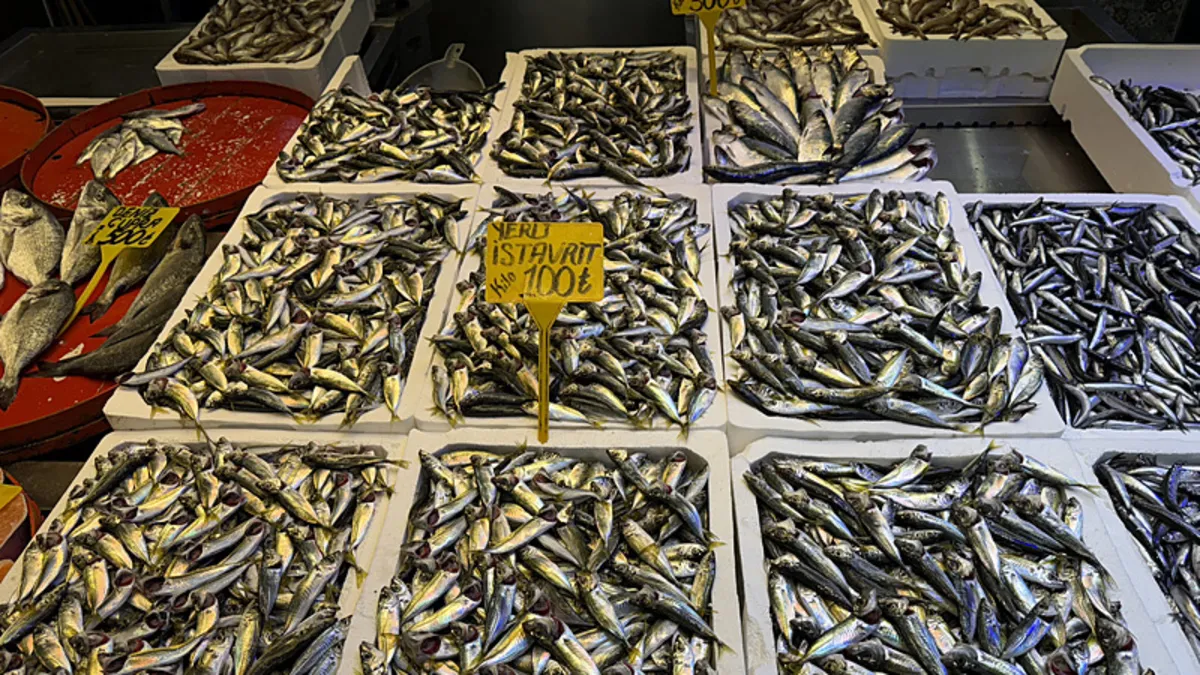 Trabzon’da balık tezgahlarının yıldızı: Hamsi ve istavrit