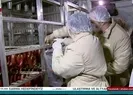 Hileli gıdaya beş yıl hapis