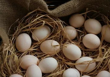 Yumurta fiyatları kanatlandı! Artış mercek altında