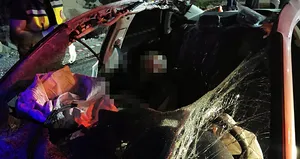 Denizli’de otomobil başıboş ata çarptı: 1 ölü 1 yaralı