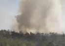 Antalyada orman yangını!