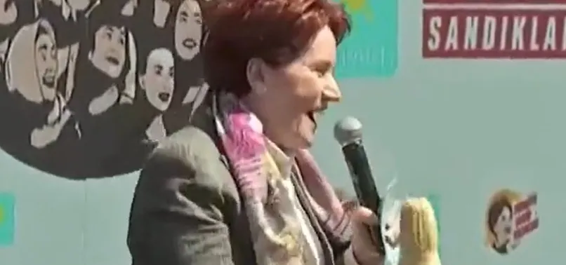 Meral Akşener'den bozuk üslupla çirkin gönderme: Süpürgenin sapı ile başka bir şey...