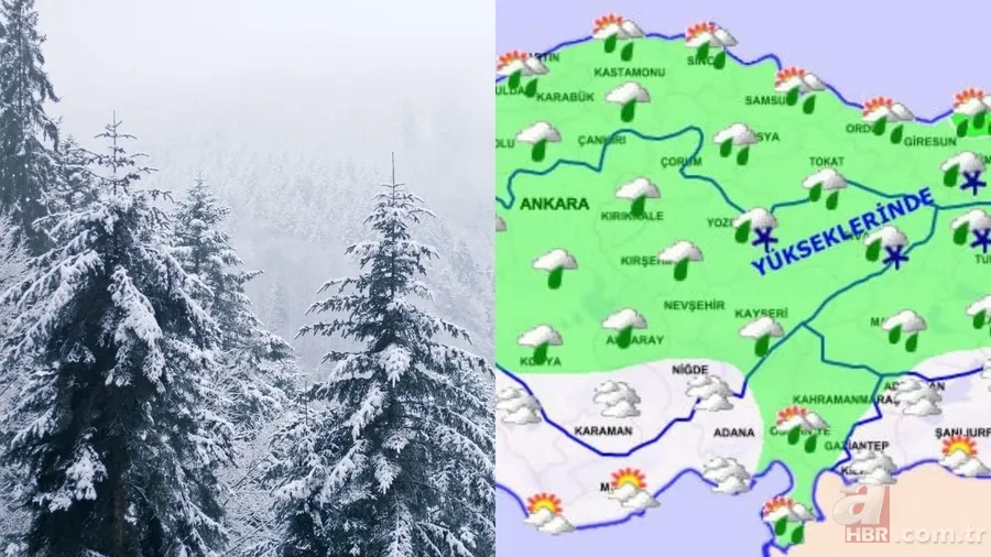 Kar İstanbul'un kapısında! Lapa lapa yağış tarihi belli: Don, sağanak, sis, pus... Hepsi haritada 1