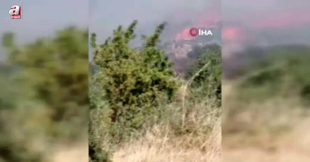 Söke'de zirai alan yangını