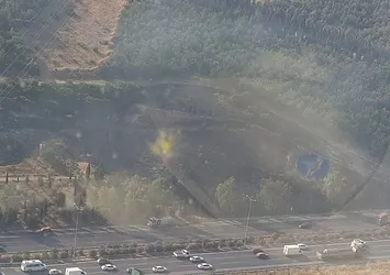 TIR'da başlayan yangın ormana sıçradı!