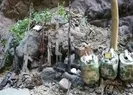 Bakanlık duyuru! Hepsi yok edildi