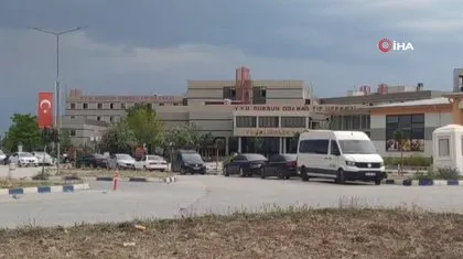 Korkunç olay! Tarlasına giderken iki ayının saldırısına uğradı: Yüzünü parçaladılar