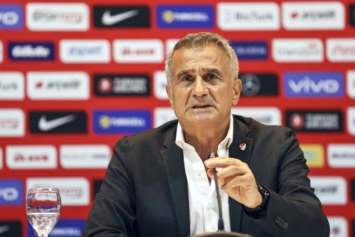 A Milli Takım teknik direktörü Şenol Güneş'ten dikkat çeken sözler! EURO 2020'de Milli Takım ne yaşadı?
