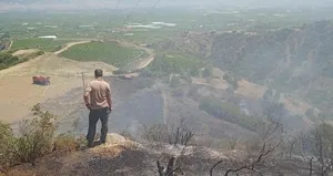 Manisa’da makilik yangını!