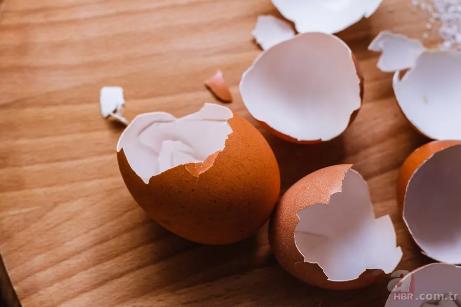 Pratik bilgiler! Limonu mikrodalgada 20 saniye ısıttığınızda sonuç inanılmaz 8