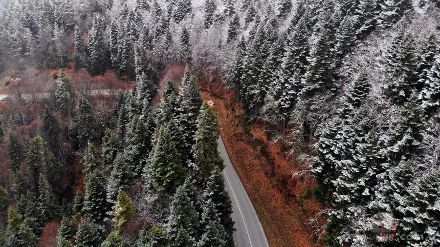 Meteorolojiden SON DAKİKA kar yağışı uyarısı! Hangi illere kar yağdı? İşte Türkiye'den kar manzaraları! 20