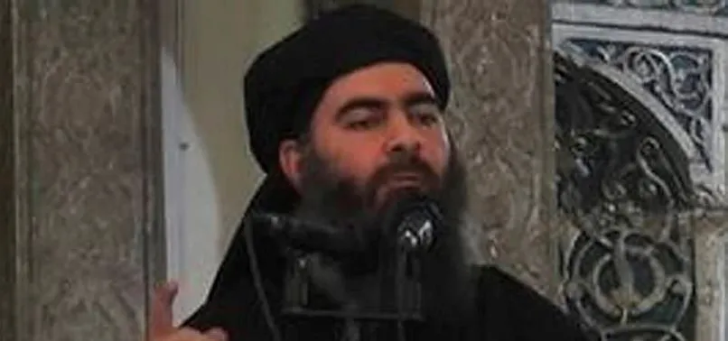 ABD el-Bağdadi'nin başına koyduğu ödülü artırdı