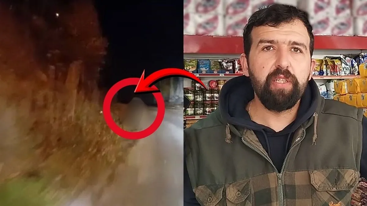 Köpek sandı, kayda bastı! Sivas’ta birkaç saniye sonra yaşananlar sosyal medyada olay oldu