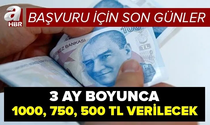 Destek başvurusu için son günler: 3 ay boyunca 1000, 750, 500 TL verilecek! Esnaf gelir kaybı desteği...