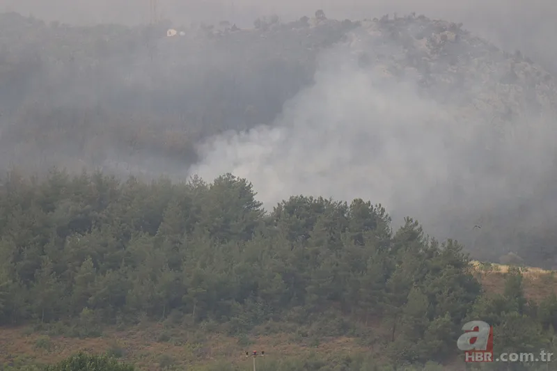 Sakarya’da ciğerlerimiz yanıyor! Hasarın boyutu gün ağarınca ortaya çıktı 10