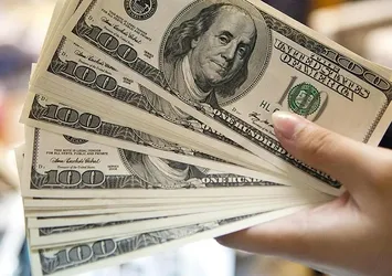 Dolar/TL haftaya düşüşle başladı