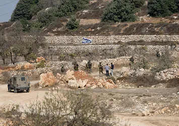 İşgalci İsrail Batı Şeria'da 135 zeytin ağacını söktü