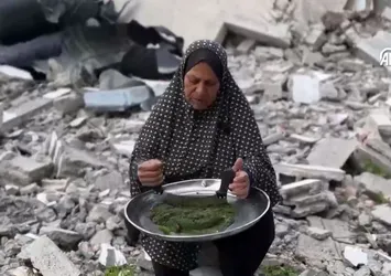 Gazzeliler yabani bitkiler yiyerek yaşıyor