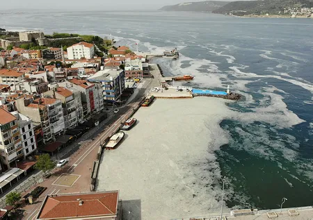 İstanbul, Kocaeli ve Balıkesir'den sonra şimdi de Çanakkale'de deniz salyası görüldü!