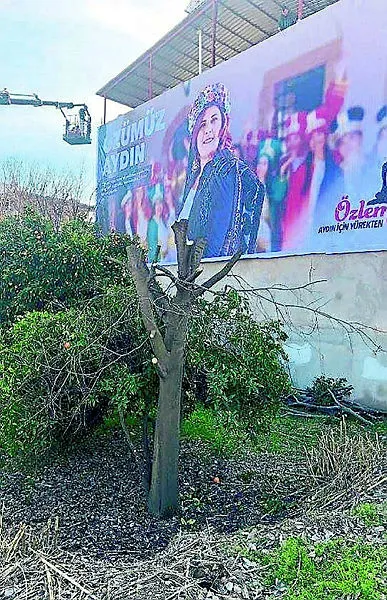 CHP'li Çerçioğlu'nun afişleri için ağaçları kesmişlerdi! Arsanın sahibinden sert yanıt geldi... - 3