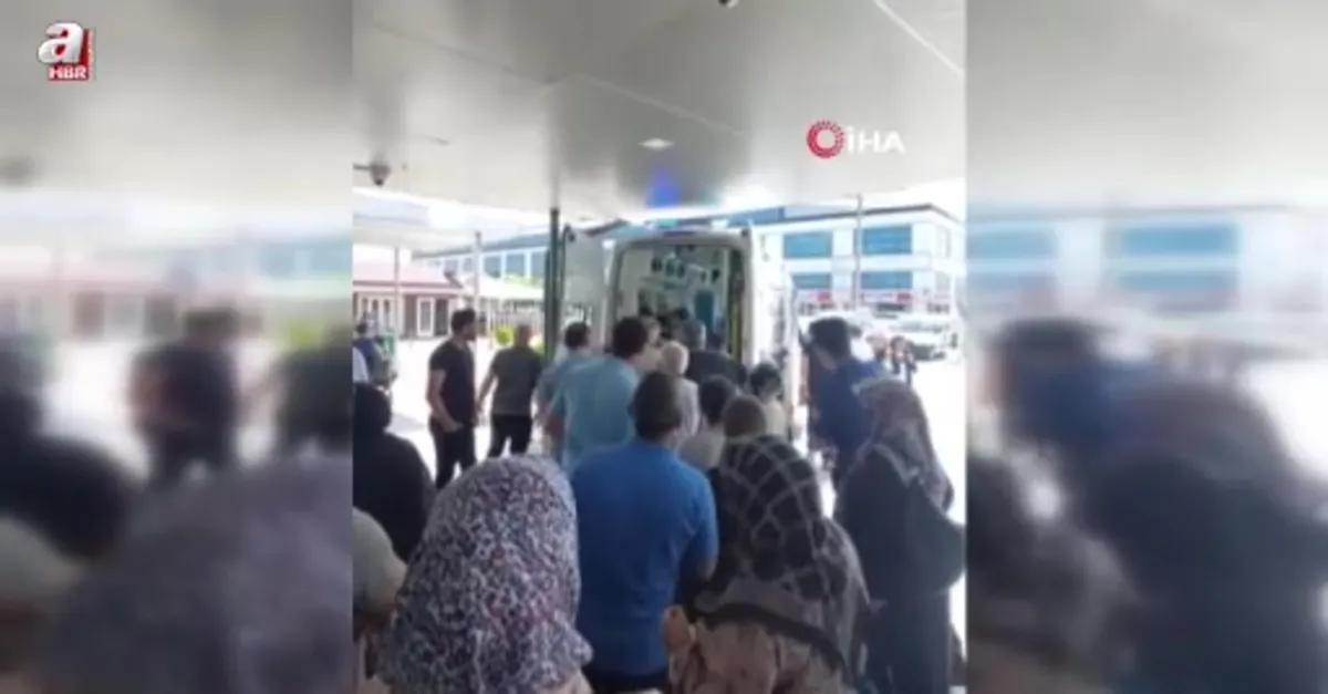 Kontrolden çıkan pat pat dereye devrildi