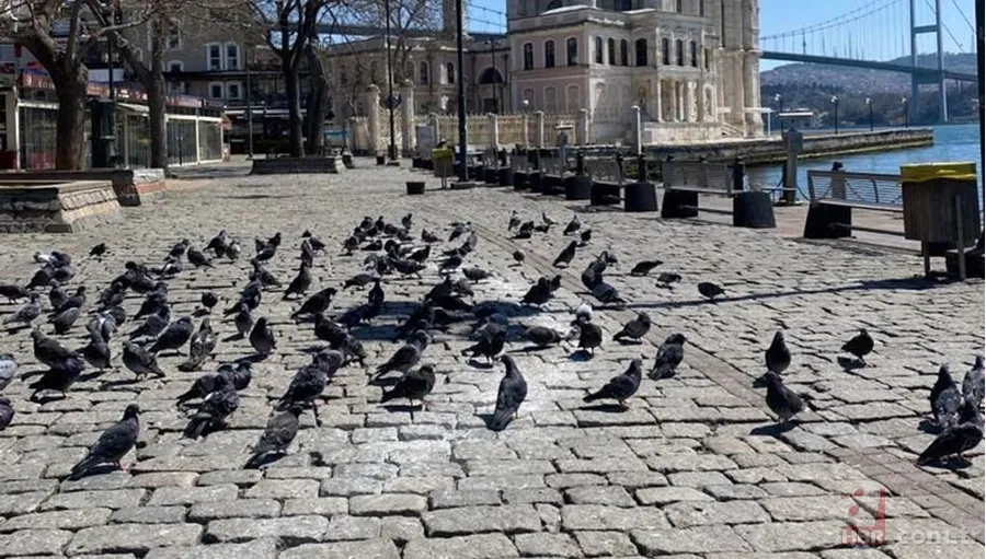 "Bu kez açık açık söyledi" Yasaklar ne zaman kalkıyor? Hafta içi ve sonu yasakları kalkacak mı? Bilim Kurulu üyesi... 9