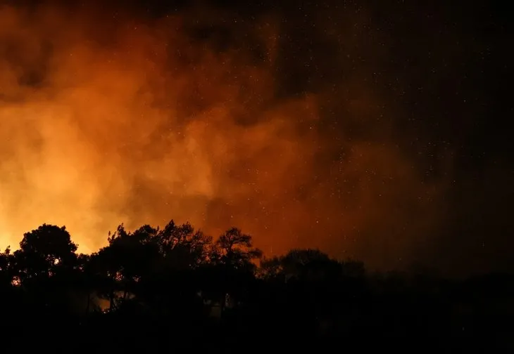 İzmir Foça'da orman yangını! Ekipler 11 saat mücadele etti