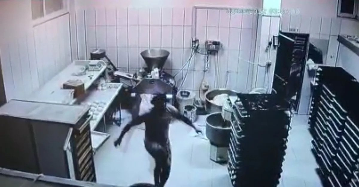 Üvey oğlunu öldüresiye dövdü! Cani baba kamerada
