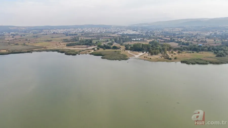 Uluabat Gölü yok olma tehlikesiyle karşı karşıya! 8