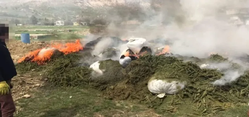 Terör örgütü PKK'nın 30 ton uyuşturucusu imha edildi