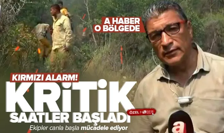 Marmaris’te orman yangını! Havadan ve karadan müdahale aralıksız sürüyor