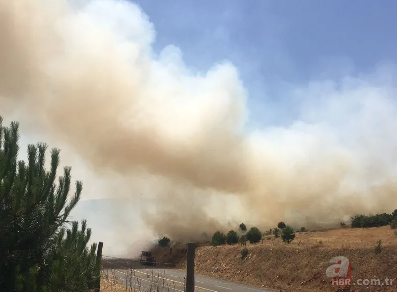 Kahramanmaraş'taki orman yangınının nedeni ortaya çıktı! Torpil şakası 80 hektarı küle döndürdü 3
