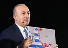 Dışişleri Bakanı Mevlüt Çavuşoğlu Kıbrıs Rumlarına hukuk dersi verdi
