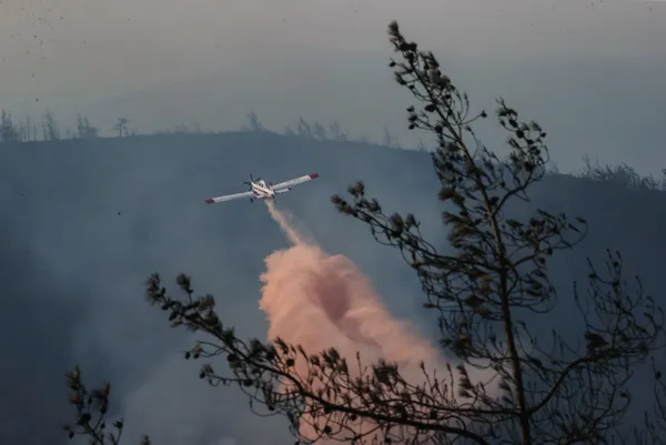 Son dakika: Marmaris’i yakan sabotajcı Sacit Ayhan ile ilgili flaş gelişme!