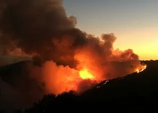 Orman yangınları ile ilgili oluşturulmak istenen algı operasyonuna belgeli yanıt!