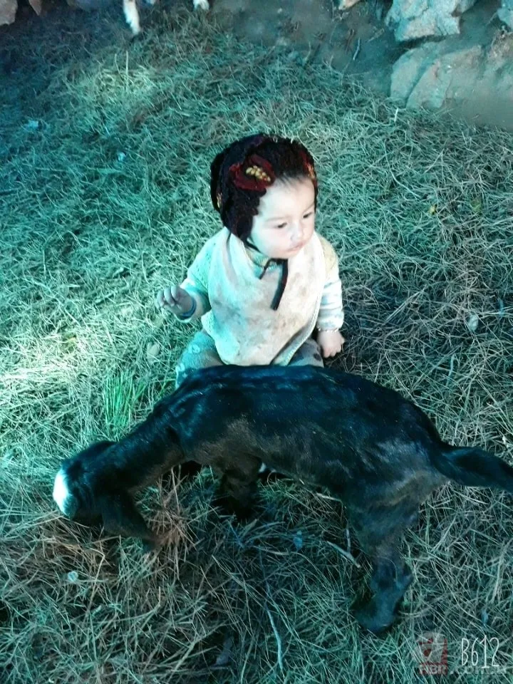 Müslüme’nin ölümünde çarpıcı ayrıntı! Ailesi ekipleri yanlış yönlendirdi! Ters tarafta bulundu 6