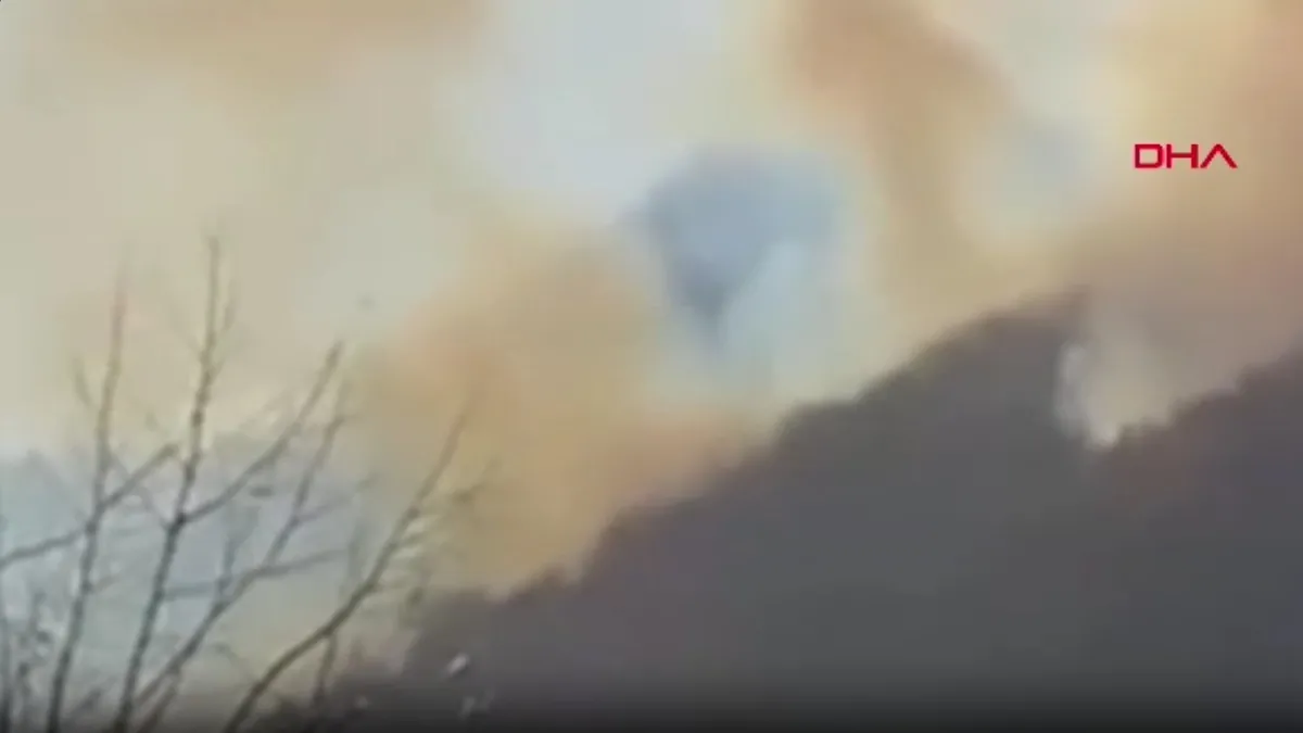 Giresun'da serender kazası: 1 kişi hayatını kaybetti