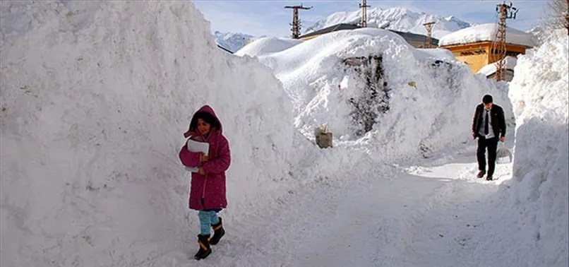 Hakkari'de okullar tatil mi? 10-11 Mart Hakkari, Şırnak ve Kars'ta kar tatili var mı? Son açıklamalar...