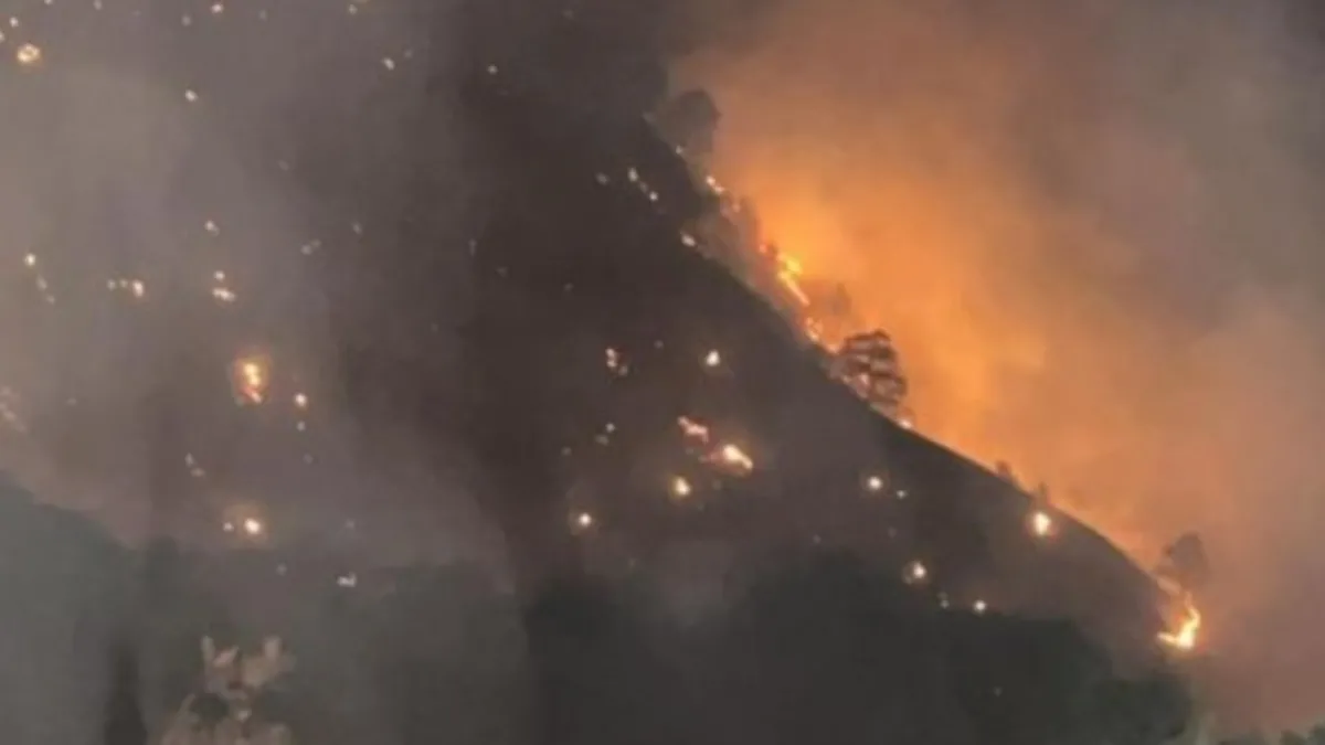 Denizli'deki orman yangınında kepçe operatörü yaralandı