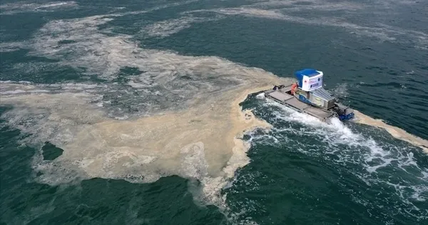 AK Parti’de müsilaj ve çevre kirliliğiyle mücadele! Katlamalı ceza geliyor