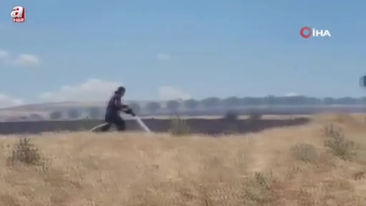 Bursa'da 10 bin dönümlük arazi alevlere teslim oldu