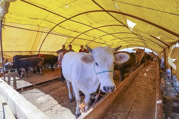 Kurban arefesi yarın mı? 2022 Kurban Bayramı arefesi ne zaman? Bayram arefesi hangi gün? Diyanet takvimi