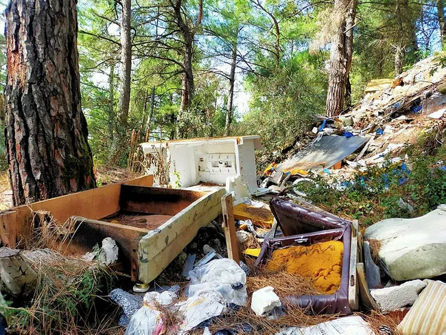 Ormana çöp atılmasına muhtardan tepki: Bunun adı vicdansızlık - 1