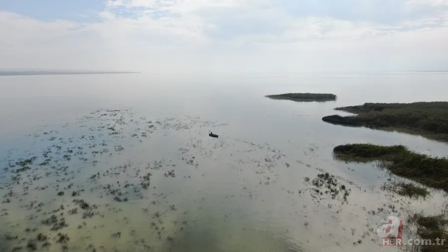 Uluabat Gölü yok olma tehlikesiyle karşı karşıya! 1