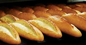 GDO’lu ekmek analizinde son gün
