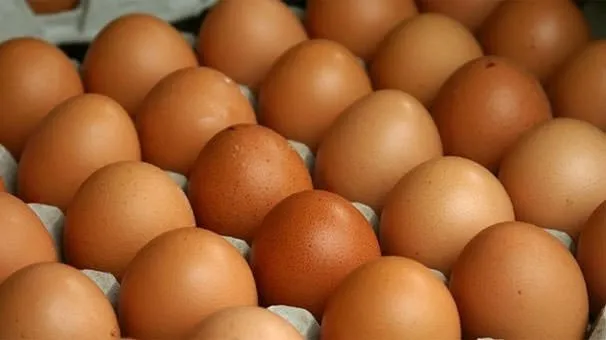 Yumurtayı büyük mü almalı küçük mü?